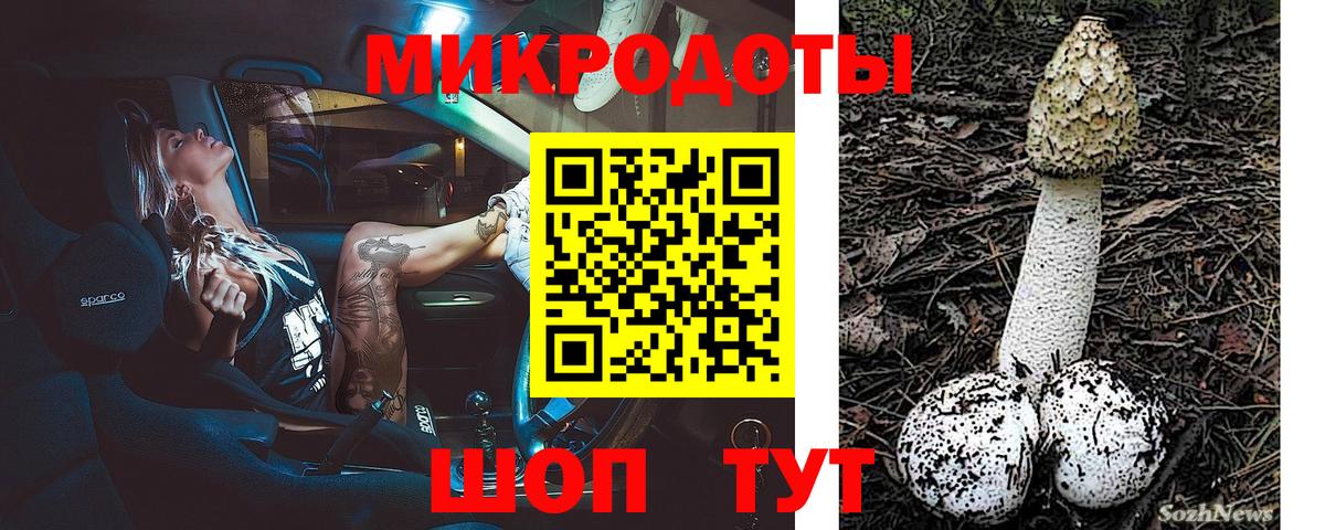 Псилоцибиновые грибы Psilocybe  Вход с VPN  Псилоцибиновые грибы Psilocybe  Владикавказ 